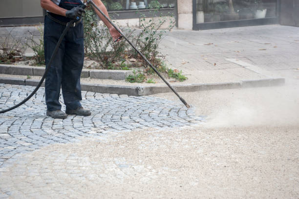 Best Roof Washing  in Lockport, NY